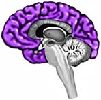 1098284737268.brainteam.jpg