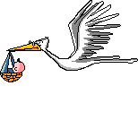 babystorkflying.gif