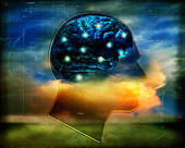 brain4.jpg