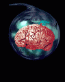 brainbubble.gif