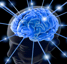brainfunction.gif