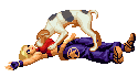 dog911.gif