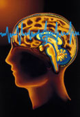 eeg.jpg