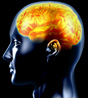 epilepsy101.jpg
