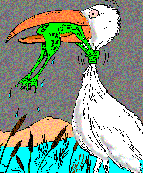 frog.gif