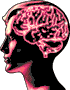 germanbrain.gif