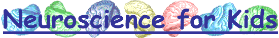 neuro-kids.gif