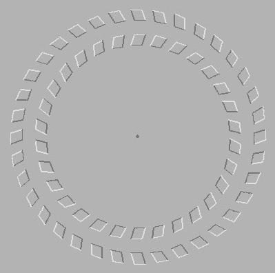rotation.gif