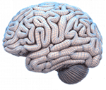 spinnerbrain.gif