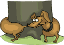 utubedachshund.gif